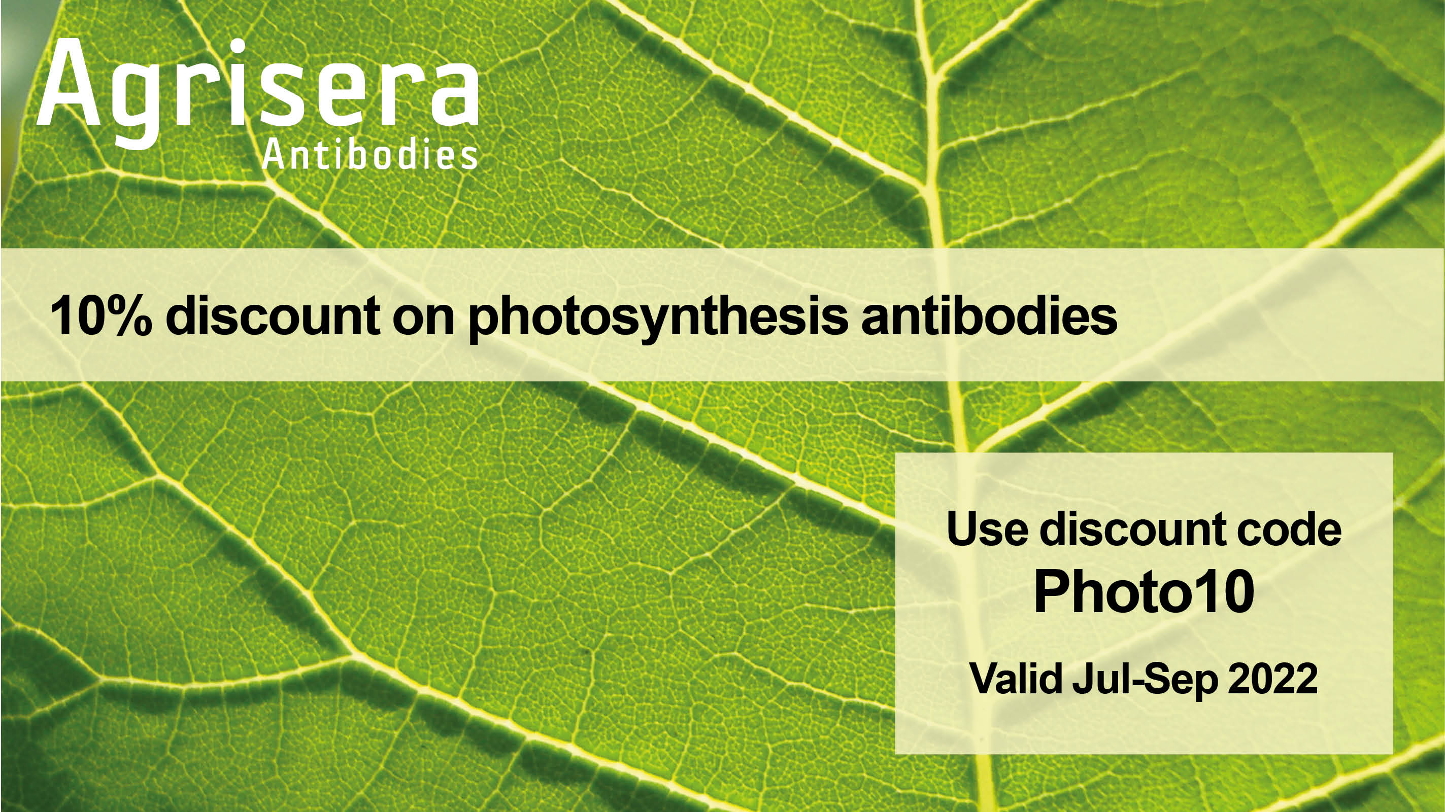 Agrisera Photosynthesis Antibody Promo